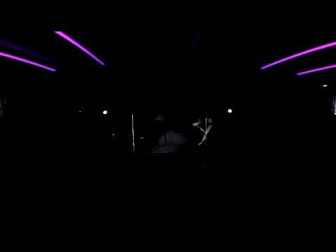 Luca: PoleDance Institut Blanca @ Magic Pole Dance Party, 2015