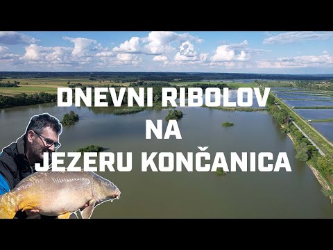 Šaranski ribolov na jezeru Končanica