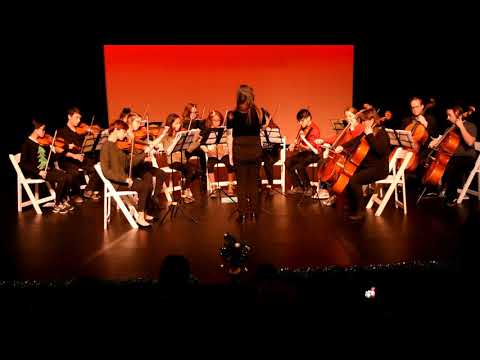 LMC String Orchestra - Moonlight Odyssey