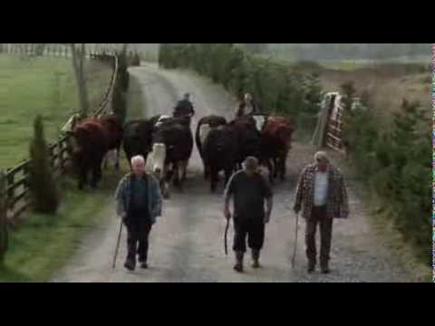 TR Dallas This Story I Tell You is True