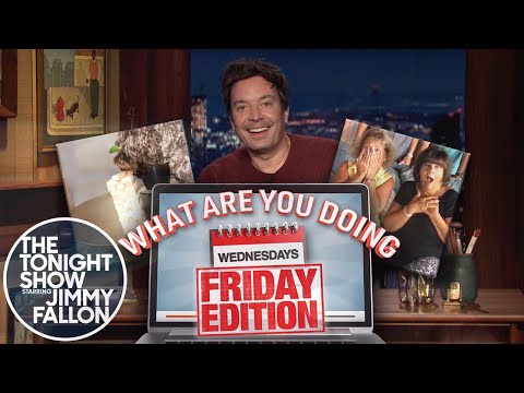 你在做什麼星期三，星期五版。小狗疊羅漢，懷孕公告 (What Are You Doing Wednesdays, Friday Edition: Puppy Jenga, Pregnancy Announcement)