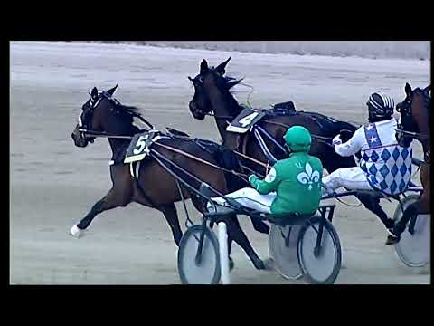 Napoli Trotto 20/03/2022 - 8ª corsa