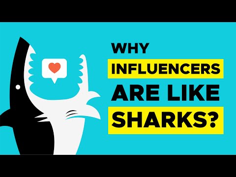 What is an Influencer? | Influencer Marketing Explained