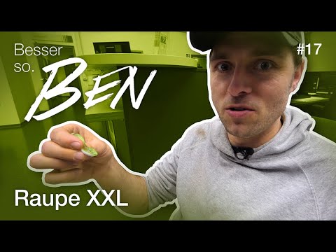 CLAAS | Besser so. Ben. #17 Boa, was für ein Bodenschutz