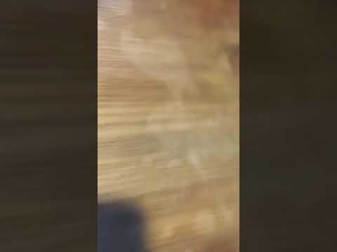 Dunhill. Bent Rhodesian. Ruby Bark. 9mm Filter. (4108F)