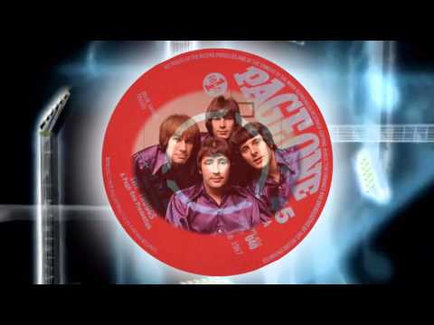 The Troggs  -  Love Is All Around