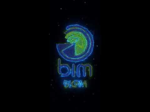 BIM : Business Intelligence Mo video thumbnail