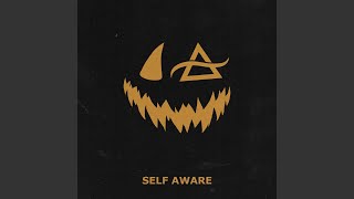 Self Aware