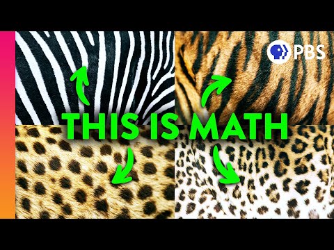 The Mathematical Code Hidden In Nature