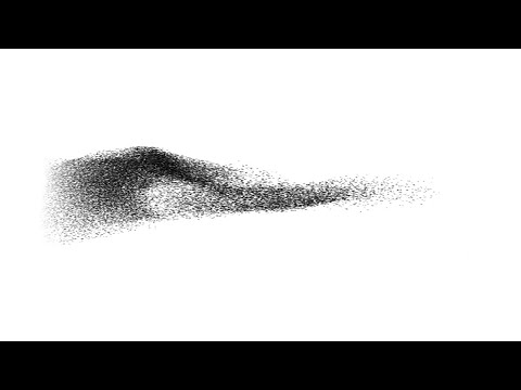 Erland Cooper - Asleep On The Wing (Full Version / Sleep Visualiser)