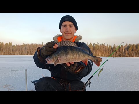 2x AHVEN 3,3kg?! | ENNÄTYKSET TAAS RIKKI?! | PILKKILIIGA 2023