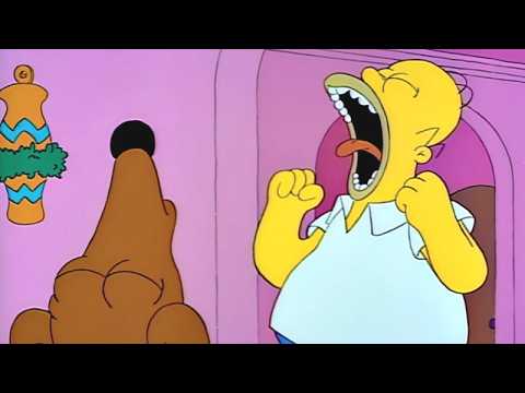 Homer Hates the Dog