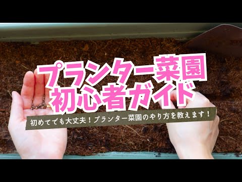 都市に菜園を作るにはどうすればよいですか？シンプルで簡単: 私たちのアドバイスに従ってください!  庭園