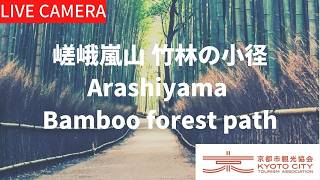 京都・嵯峨嵐山 竹林の小径