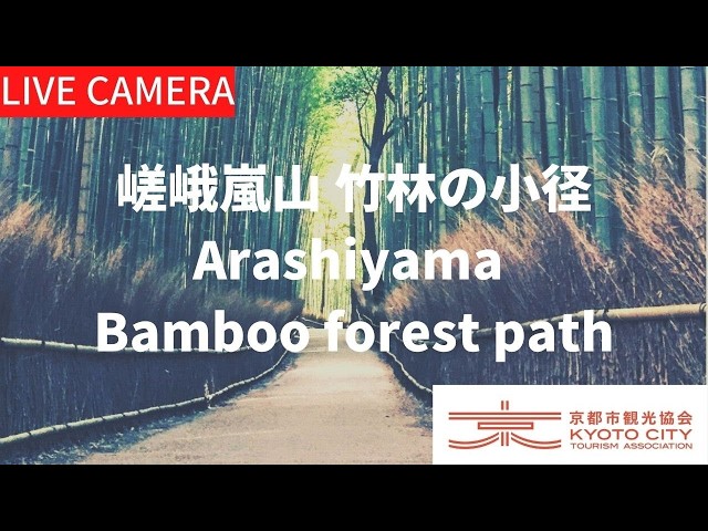 京都・嵯峨嵐山 竹林の小径