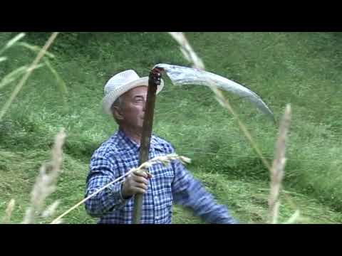 Selski fantje   Škrjanček poje