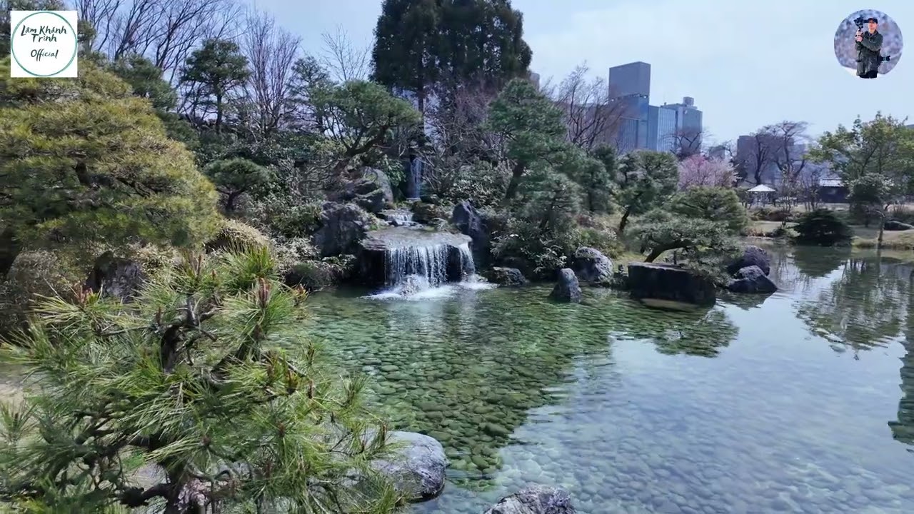 富山城 Thành cổ Toyama mùa xuân về #富山城 #dulich #dulichnhatban