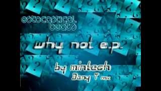 Mintech - Why Not - DANY T REMIX (2009 - Estocastical Beats) techno