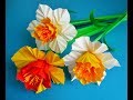 Narcissus / Narzisse / DIY