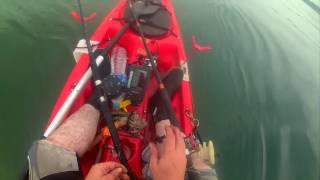 Gynn Square 06/06/2016