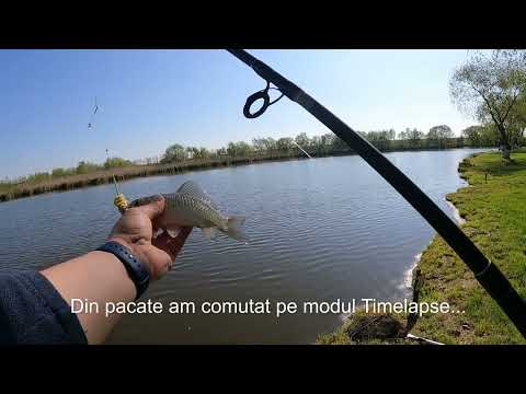 Balta Nana   Pescuit la caras si crap la doar 43 km de Bucuresti   Pescuit la Balta Nana 2023