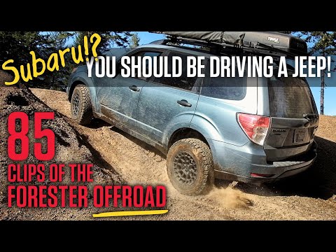What? My Subaru Isn't a Jeep?? Did I Buy the Wrong Vehicle?