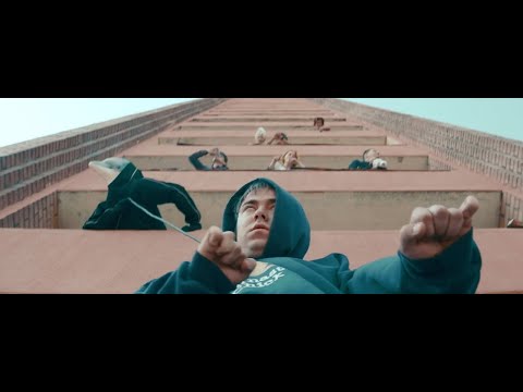 Weed & Dolphins - HIGH