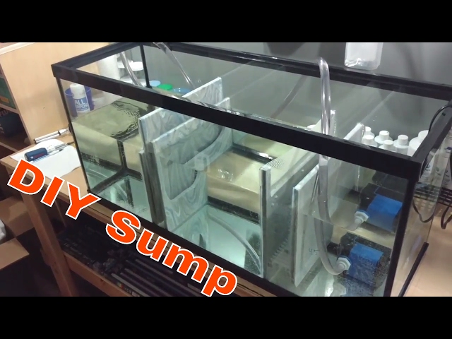 DIY Sump Reef Tank Upgrade