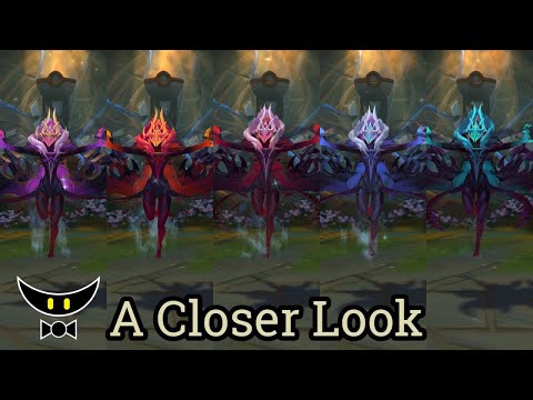 Coven Morgana Chomas