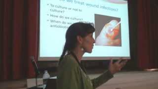 preview picture of video 'SA STGEC ~ Wound Care: Science of Wound Healing (2013)'