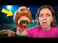 HOW DID THIS HAPPEN TO MY DOG... *will he be ok*