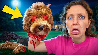 HOW DID THIS HAPPEN TO MY DOG... *will he be ok* 