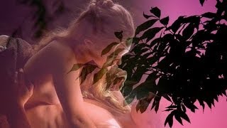 Michel  Polnareff   ~  Lettre à France.