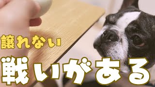東京都知事選の裏で大変な事がありました！😂