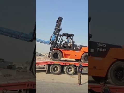 بوبكات للإيجار - نيو هيفيك