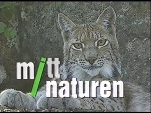 Mitt I Naturen (SVT 1997-10-29)