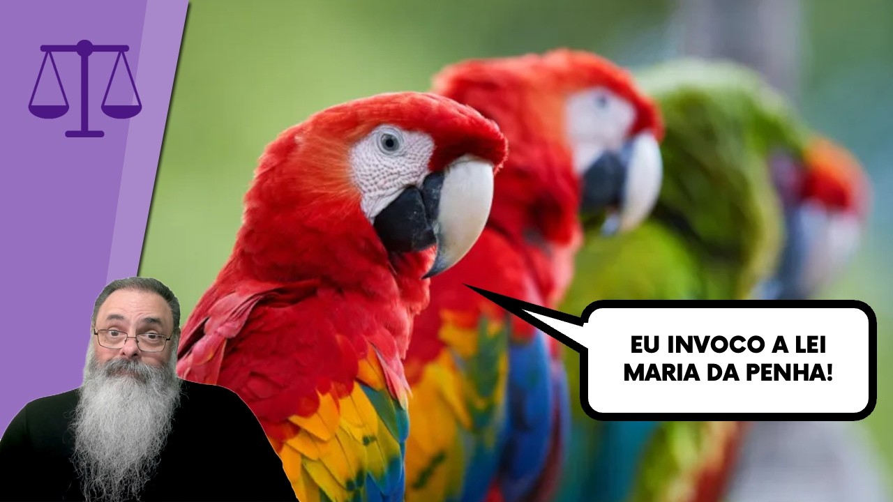LEI MARIA da PENHA, expandida pelo STF, EXPULSA VIZINHO de CASA porque RECLAMAVA de ARARAS