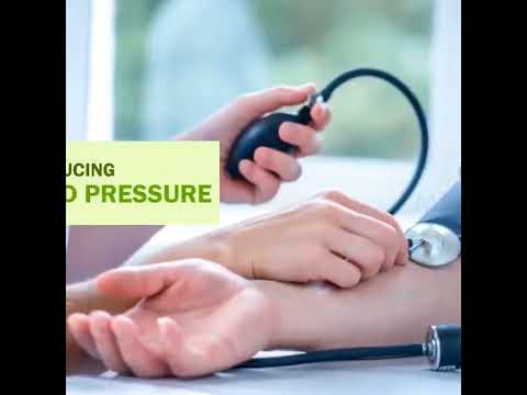 Miracletree moringa oleifera capsule, packaging size: 500 mg...