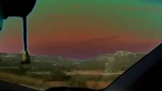 Los burros - Portugal