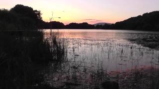 preview picture of video 'Sunset at Nigel Pond , Barrow in Furness'