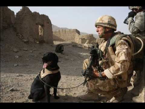 British Army: M People   Search For The Hero,