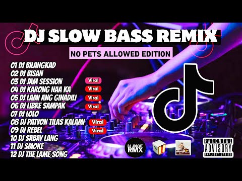DJ Slowed Full Bass Remix Reverb Nonstop 2024🎧 - No Pets Allowed Edition - Tiktok Full Bass Remix 🔊