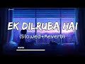 Ek Dilruba Hai Slowed And Reverb Bewafaa Udit Narayan Lo Fi Lofi Songs Pleasure
