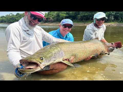 Flyfishing in Brazil Hunting Gaint Arapaima with Untamed Angling big fish