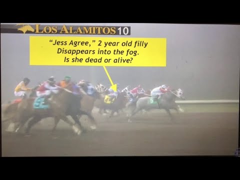 JESS AGREE. DNF, vanned in blinding fog, Los Alamitos