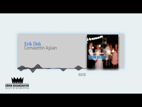 Cemalettin Aşkan - Erik Dalı