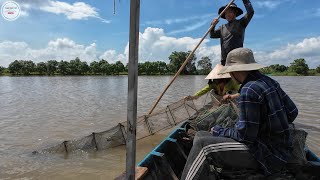 The Whole Family Pushed a Big Boat into the Field to Catch Crabs, and Caught a Big Carp to Steam ...