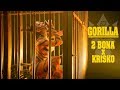 2BONA x KRISKO - GORILLA [Official Video]