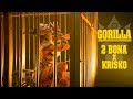 2BONA x KRISKO GORILLA Video von Fa 2BONA x KRISKO GORILLA Video von Fa