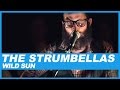 The Strumbellas | Wild Sun